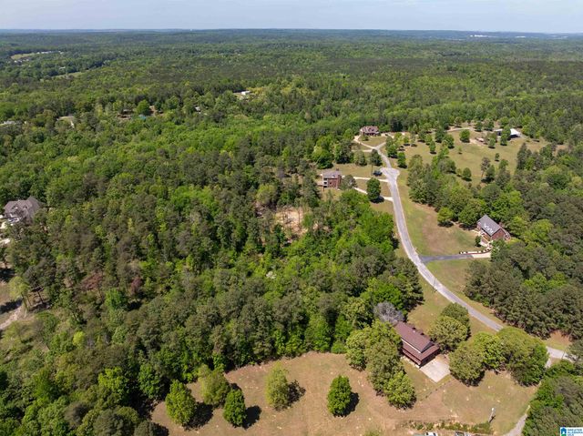 409 PINEVIEW DRIVE, West Blocton, AL 35184
