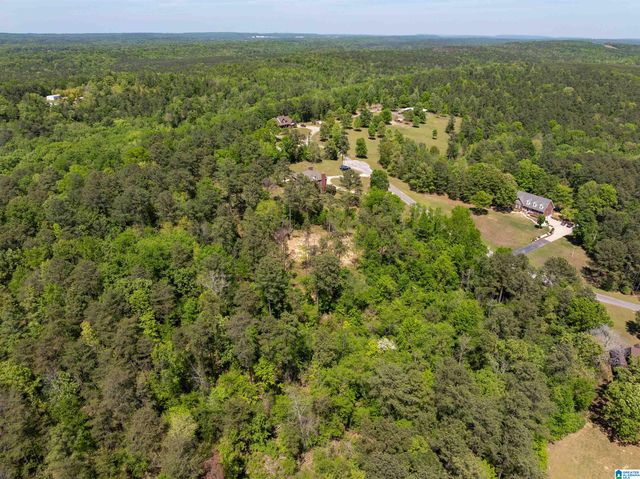 409 PINEVIEW DRIVE, West Blocton, AL 35184