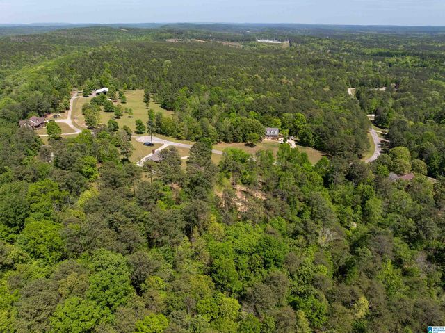 409 PINEVIEW DRIVE, West Blocton, AL 35184