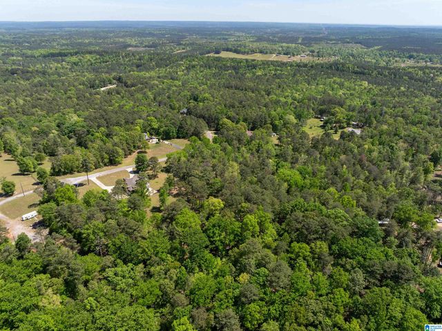 409 PINEVIEW DRIVE, West Blocton, AL 35184