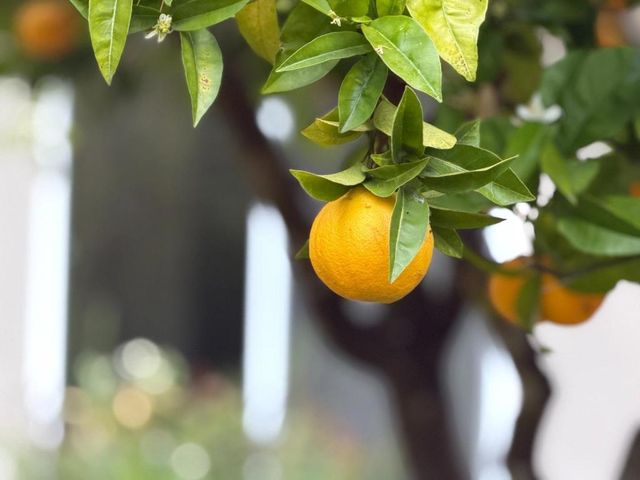 333 John Street, Santa Cruz, CA 95060