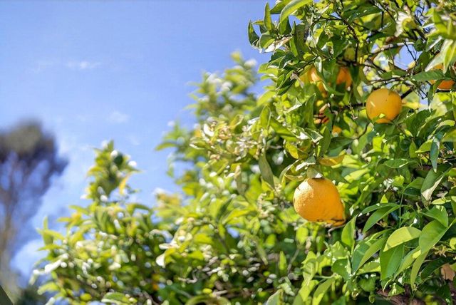 333 John Street, Santa Cruz, CA 95060