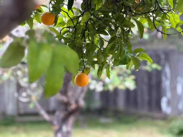 333 John Street, Santa Cruz, CA 95060