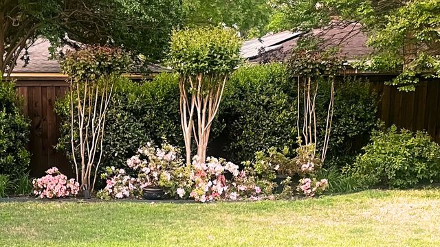 1000 Bert Drive, Arlington, TX 76012