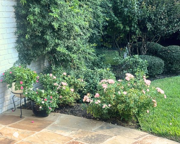 1000 Bert Drive, Arlington, TX 76012