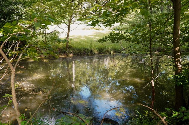 3060 W Ellison Drive, Springfield, MO 65810