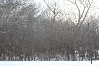 930 N N Fairfield Road, Round Lake Beach, IL 60073