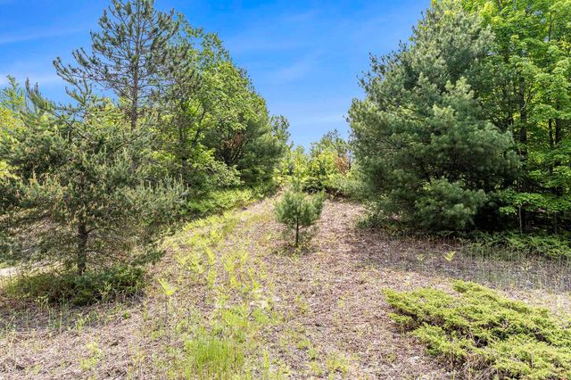 00 1A E Traverse Highway, Solon Twp, MI 49684