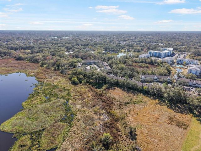 11008 BLACK SWAN COURT, Seffner, FL 33584