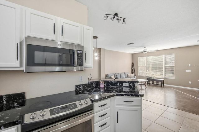 11008 BLACK SWAN COURT, Seffner, FL 33584