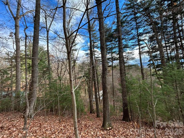 99999 Cowan Cove Road, Asheville, NC 28806