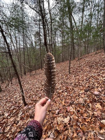 99999 Cowan Cove Road, Asheville, NC 28806