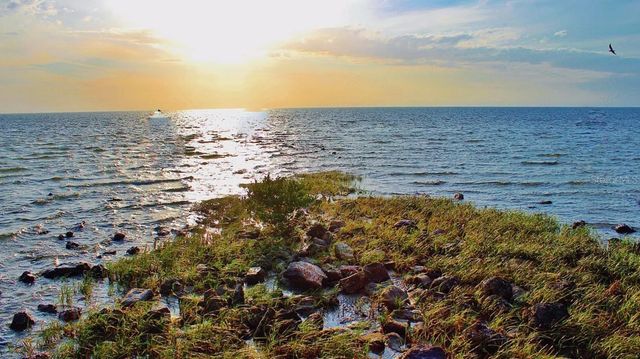 2285 POMEROY ROAD, Spring Hill, FL 34609