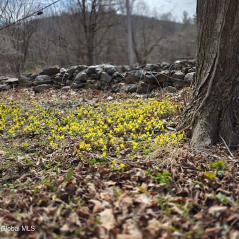 193-199 Brennan Rd Ext, Argyle, NY 12809