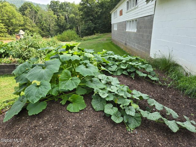 193-199 Brennan Rd Ext, Argyle, NY 12809