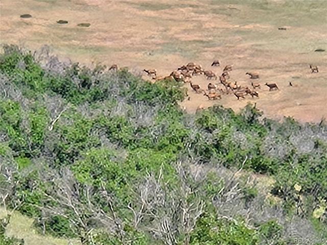 4347 N Crowfoot Valley Road, Castle Rock, CO 80108