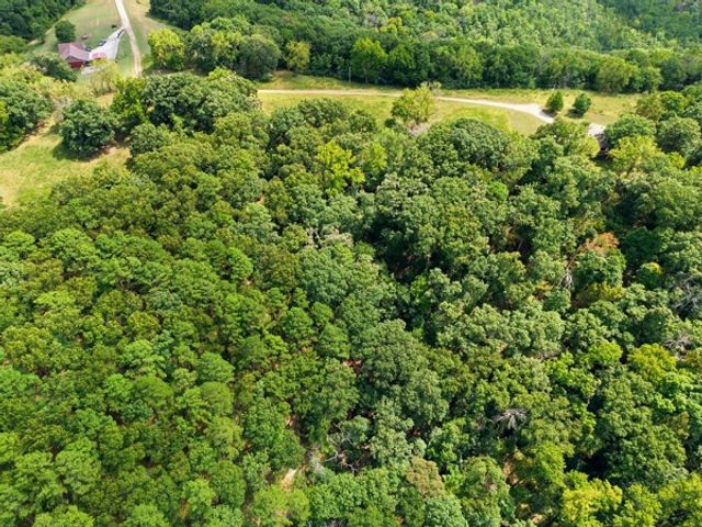 347 Ridgeline Road, Eureka Springs, AR 72632