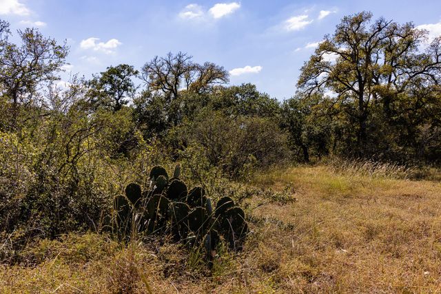 3551 RM 2325, Wimberley, TX 78676
