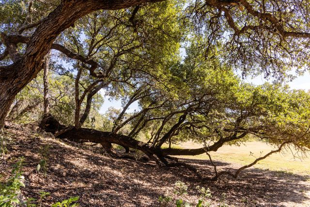 3551 RM 2325, Wimberley, TX 78676