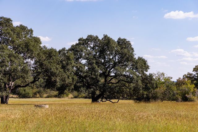 3551 RM 2325, Wimberley, TX 78676
