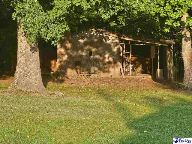 4211 Middendorf Rd, Hartsville, SC 29550