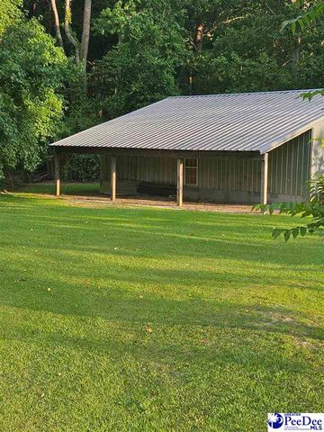4211 Middendorf Rd, Hartsville, SC 29550