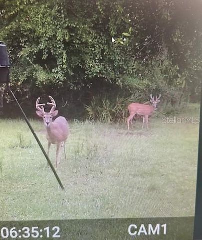 620 WILLOW POND LANE, Osteen, FL 32764