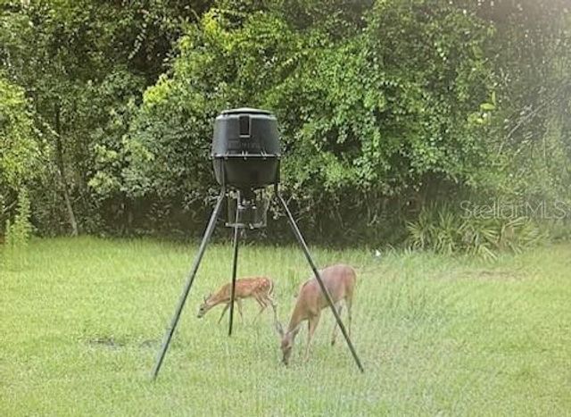 620 WILLOW POND LANE, Osteen, FL 32764