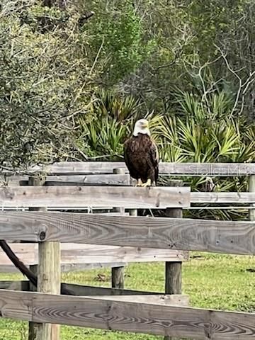 620 WILLOW POND LANE, Osteen, FL 32764