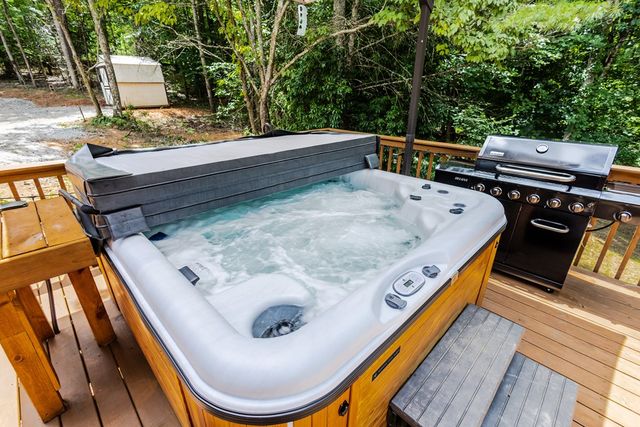 2 Watson Gap Road, Mineral Bluff, GA 30559