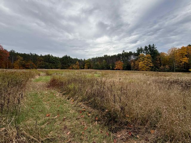 154 TYLER Road, Webster, NH 03303
