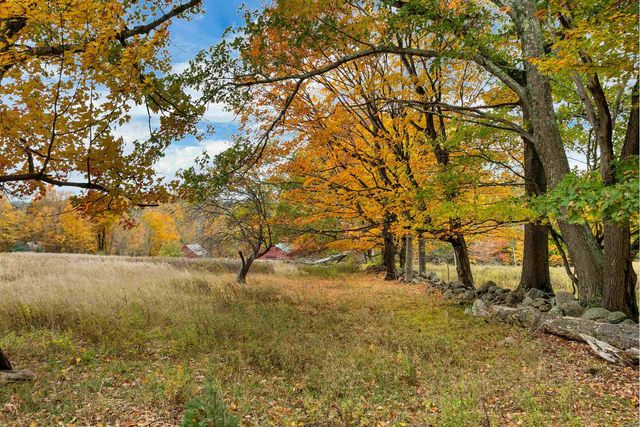 154 TYLER Road, Webster, NH 03303