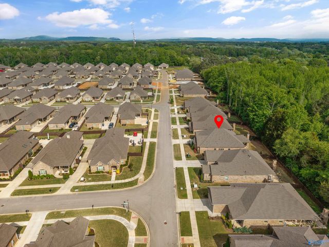 9512 Abington Cove Boulevard, Madison, AL 35757