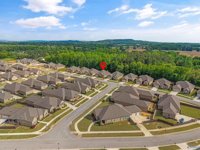 9512 Abington Cove Boulevard, Madison, AL 35757