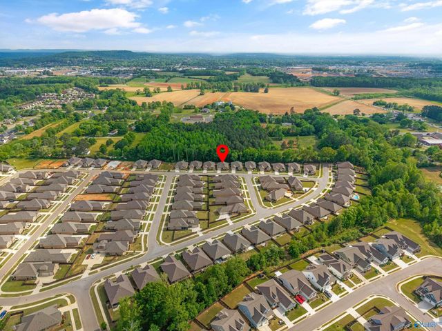 9512 Abington Cove Boulevard, Madison, AL 35757