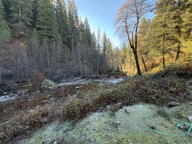 280 Gold Bluff Rd, Downieville, CA 95936
