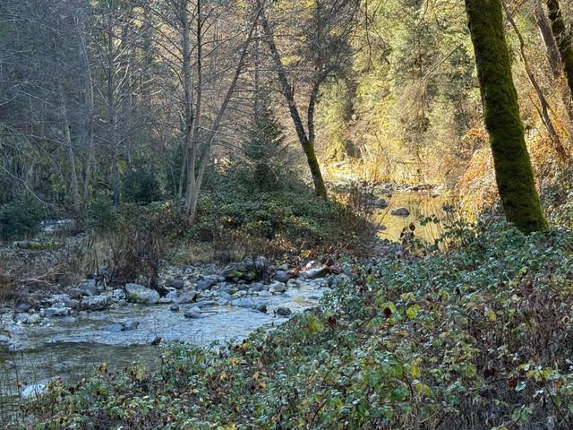 280 Gold Bluff Rd, Downieville, CA 95936