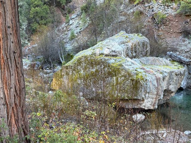 280 Gold Bluff Rd, Downieville, CA 95936