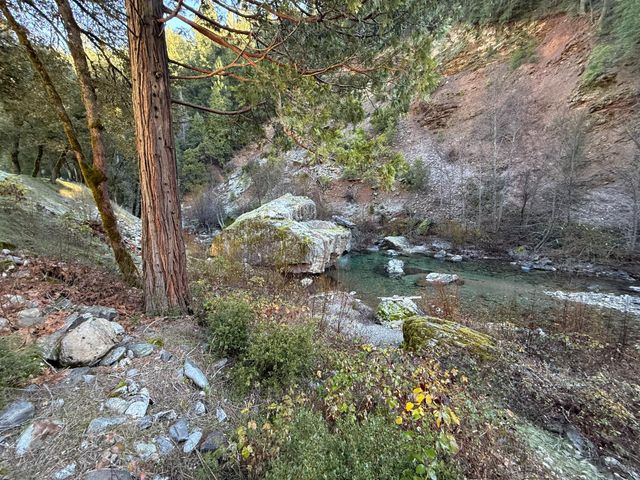 280 Gold Bluff Rd, Downieville, CA 95936