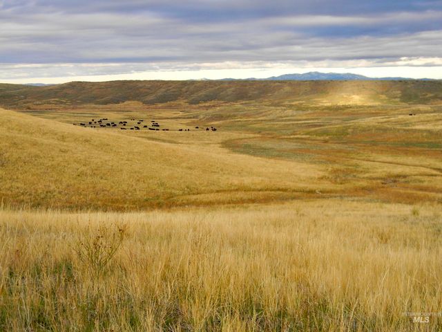 2004 Granger Rd., Indian Valley, ID 83632