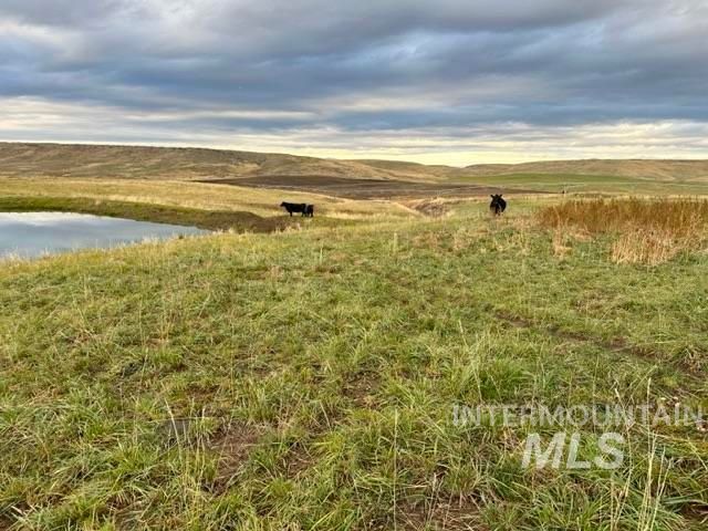 2004 Granger Rd., Indian Valley, ID 83632