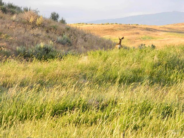 2004 Granger Rd., Indian Valley, ID 83632