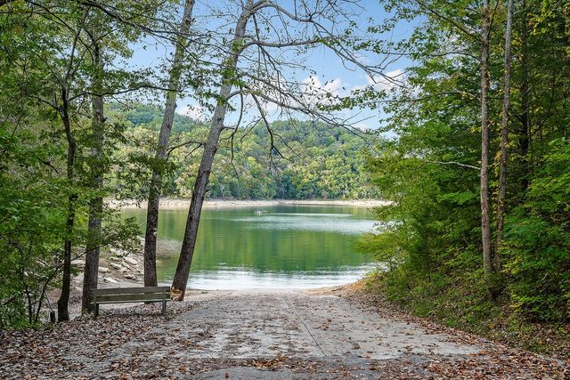 1235 Lakeview Dr, Smithville, TN 37166