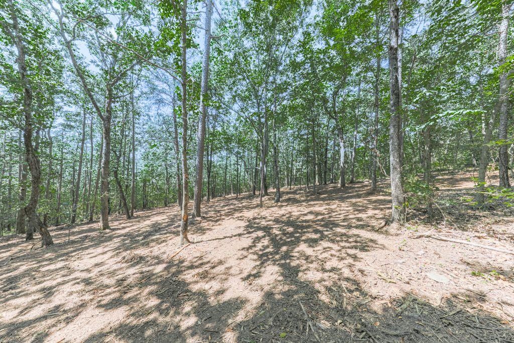 339 Mountain Top RD, Waleska, GA 30183