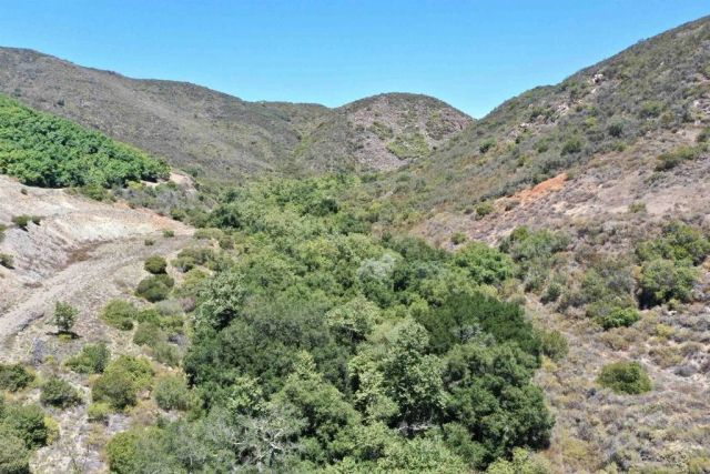 El Calamar, Temecula, CA 92590