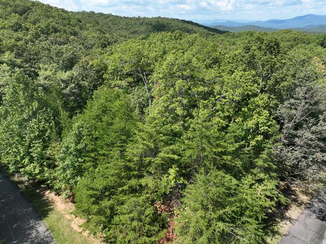 123 Edinborough Court, Ellijay, GA 30536