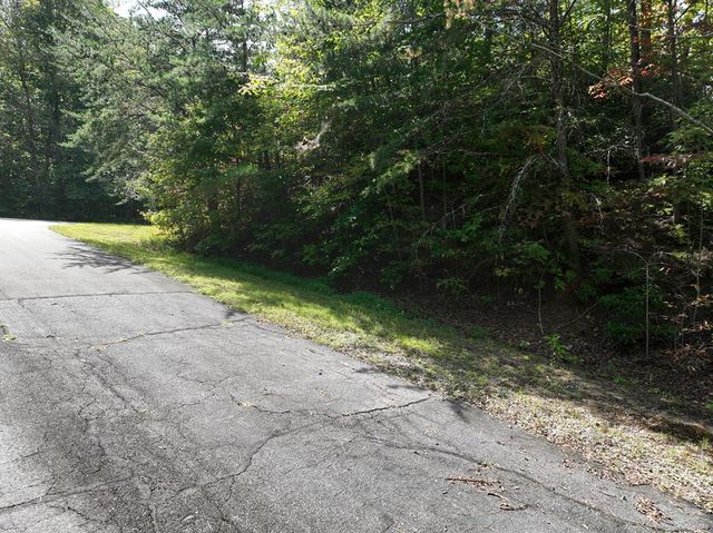 123 Edinborough Court, Ellijay, GA 30536