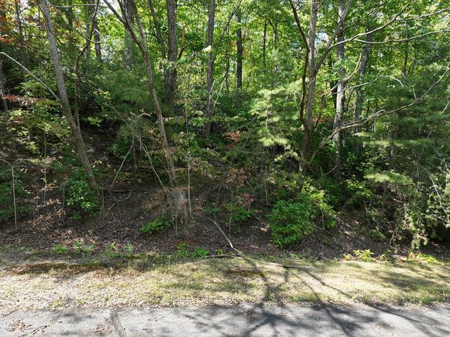 123 Edinborough Court, Ellijay, GA 30536