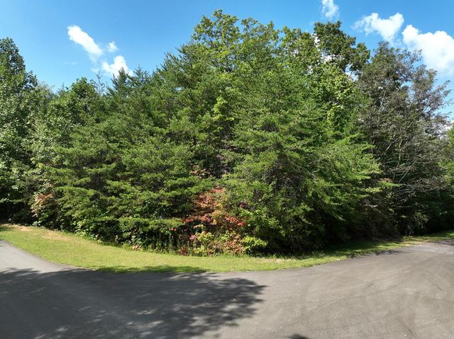 123 Edinborough Court, Ellijay, GA 30536