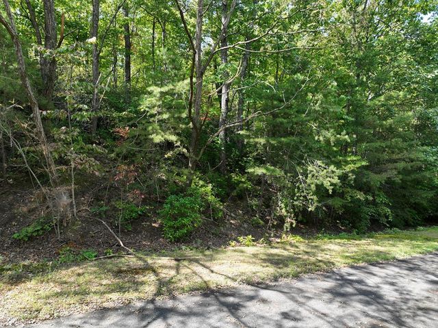 123 Edinborough Court, Ellijay, GA 30536